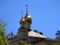 IMG_7981