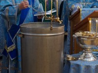 DSC0050