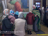 IMG_2131